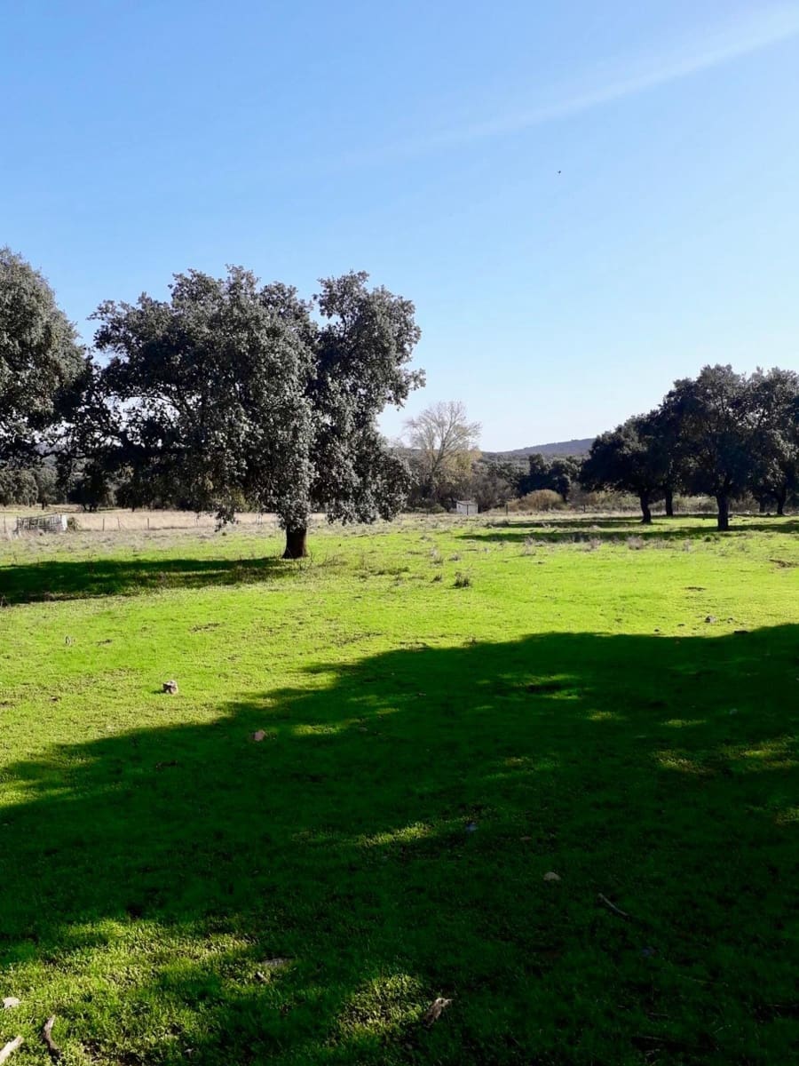 Grunde uden byggetilladelser til salg i Fuente Obejuna - € 190.000 (Ref: 9360011)