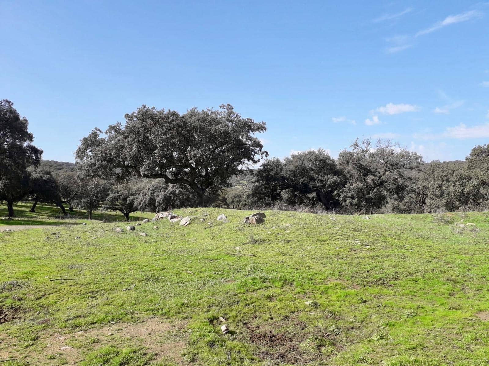 Grunde uden byggetilladelser til salg i Fuente Obejuna - € 190.000 (Ref: 9360011)