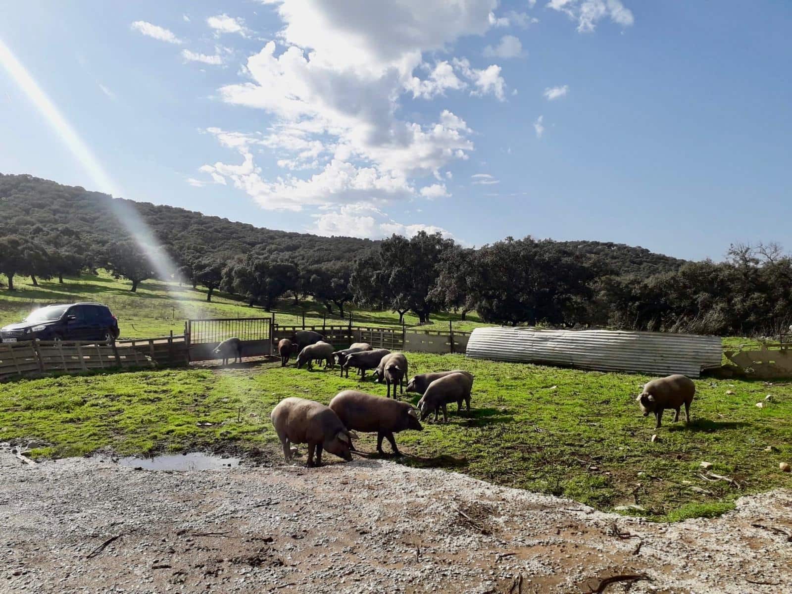 Grunde uden byggetilladelser til salg i Fuente Obejuna - € 190.000 (Ref: 9360011)