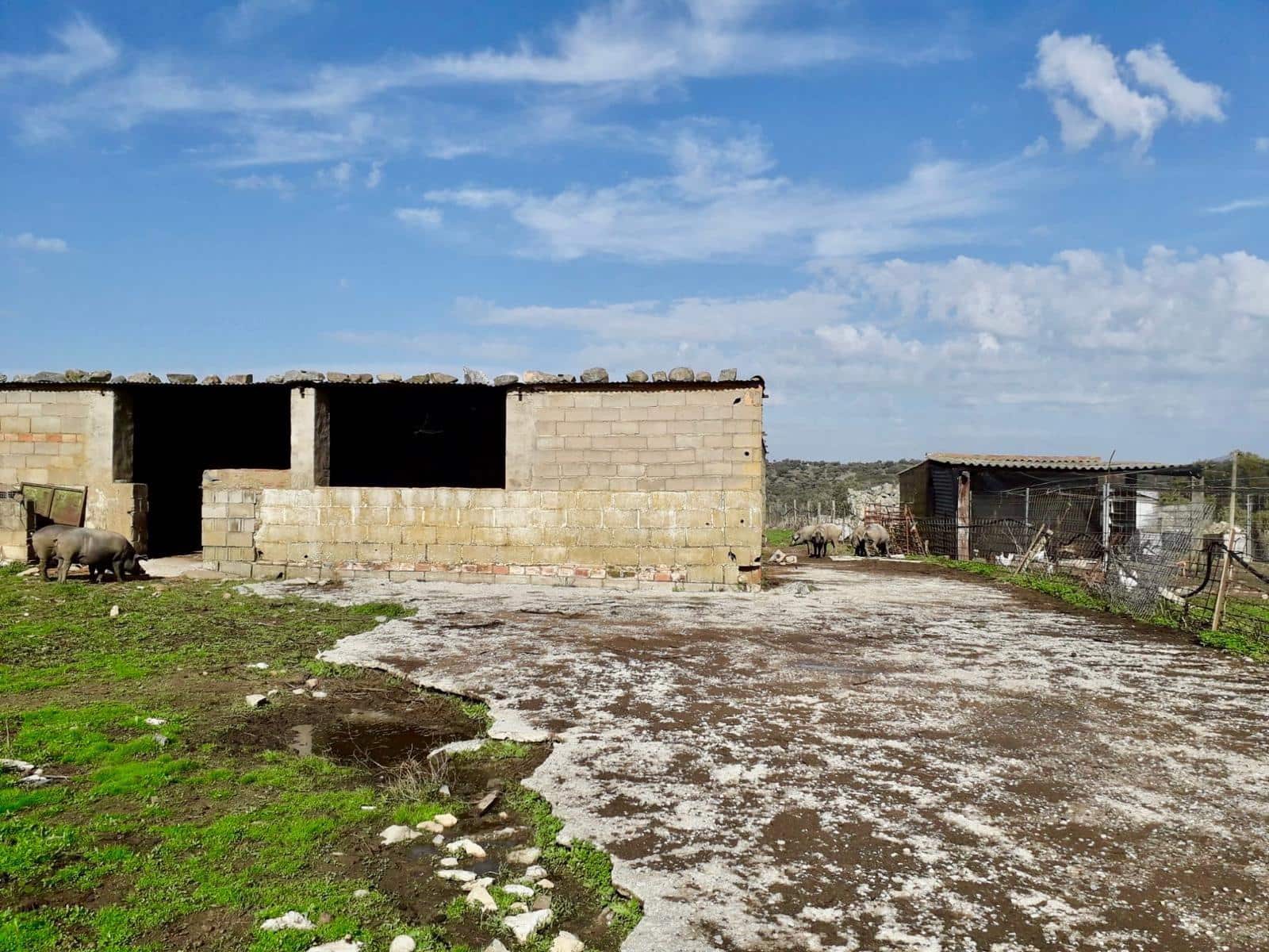 Grunde uden byggetilladelser til salg i Fuente Obejuna - € 190.000 (Ref: 9360011)