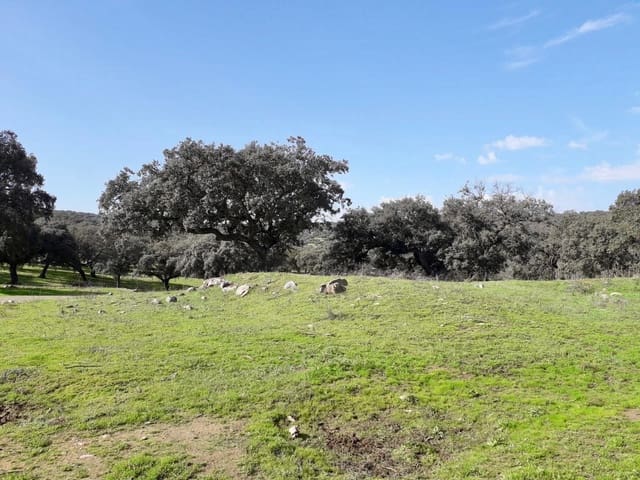 Grunde uden byggetilladelser til salg i Fuente Obejuna - € 190.000 (Ref: 9360011)