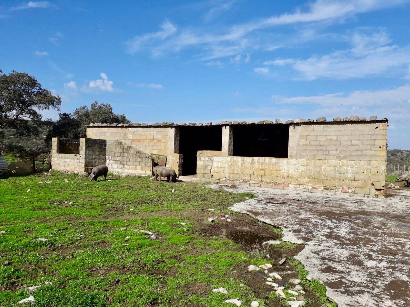 Grunde uden byggetilladelser til salg i Fuente Obejuna - € 190.000 (Ref: 9360011)