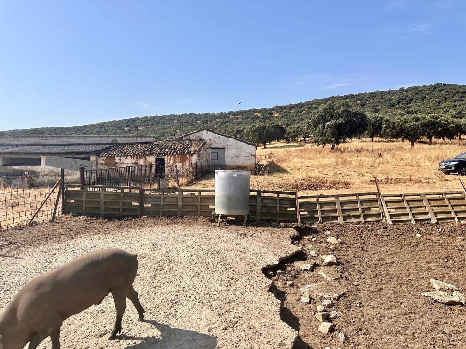 Grunde uden byggetilladelser til salg i Fuente Obejuna - € 190.000 (Ref: 9360011)