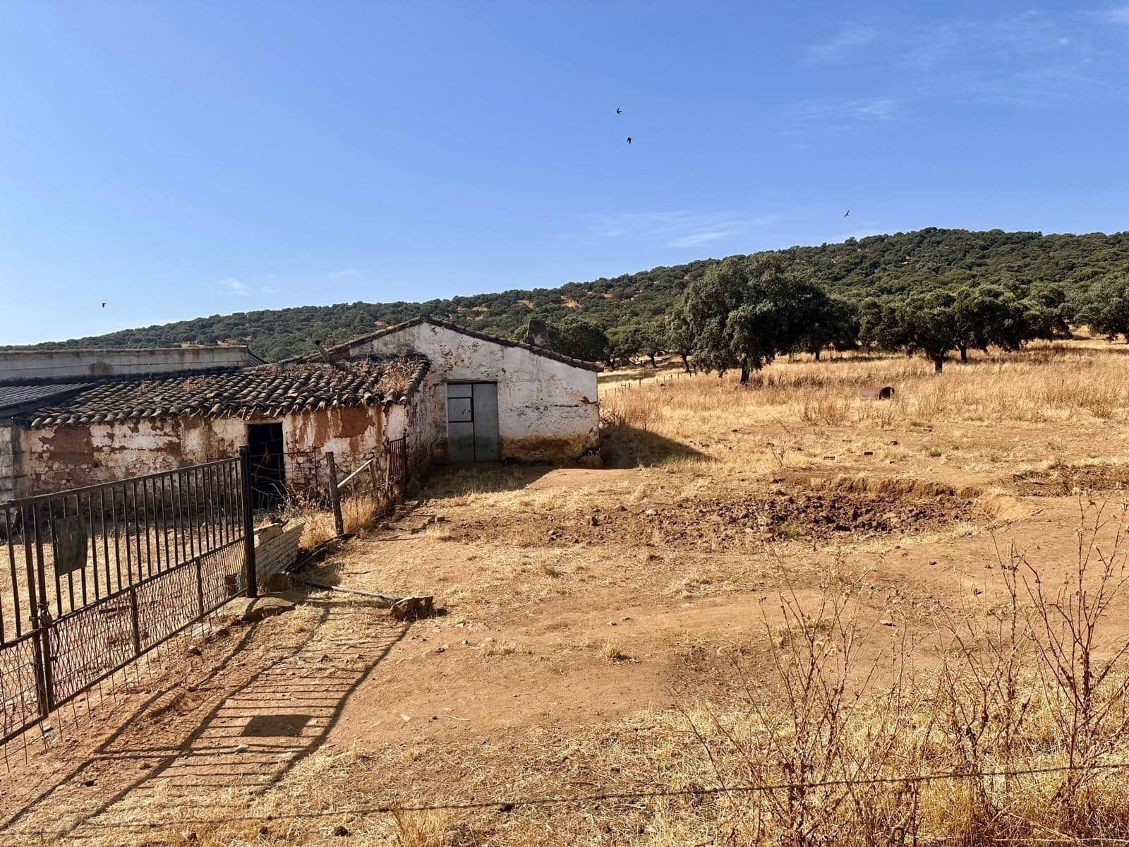 Grunde uden byggetilladelser til salg i Fuente Obejuna - € 190.000 (Ref: 9360011)