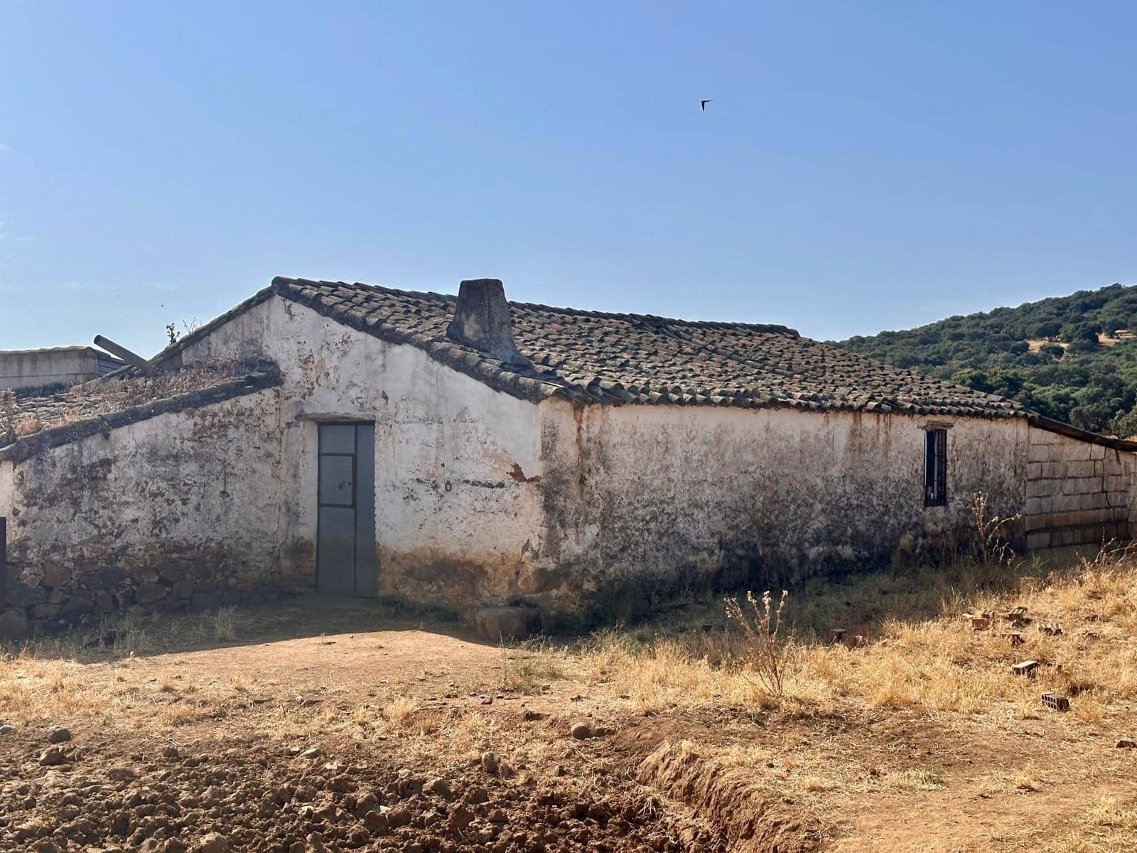 Grunde uden byggetilladelser til salg i Fuente Obejuna - € 190.000 (Ref: 9360011)