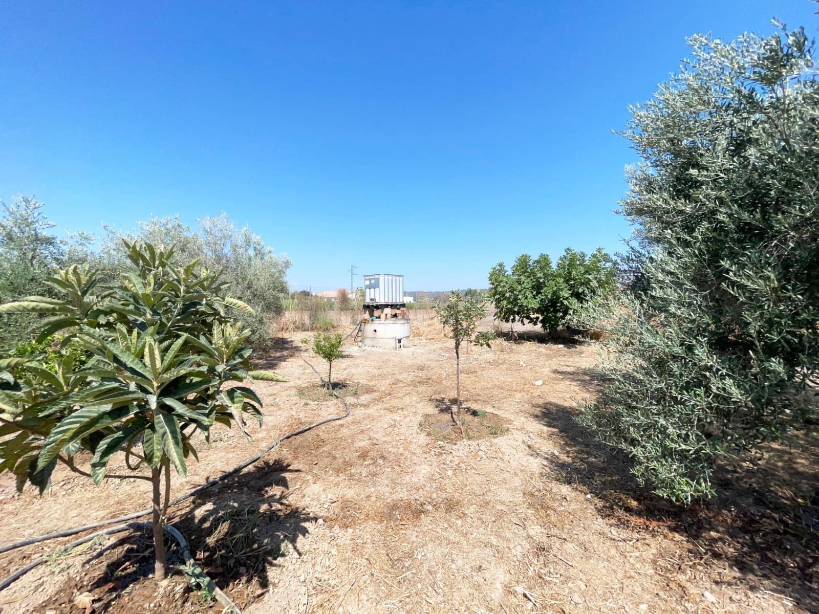 Solar/Parcela en Córdoba ciudad en venta - 99.500 € (Ref: 9360035)