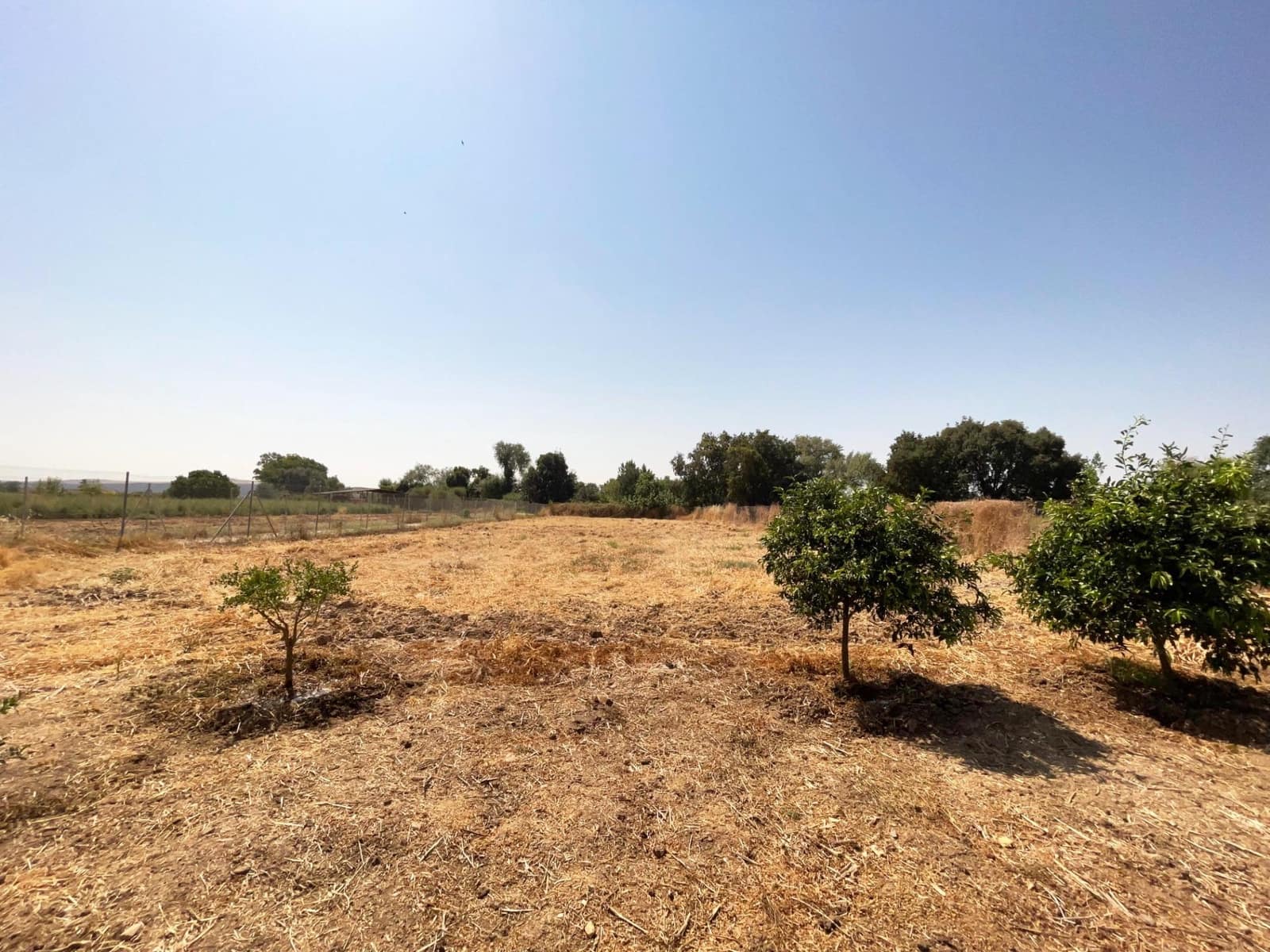 Solar/Parcela en Córdoba ciudad en venta - 99.500 € (Ref: 9360035)