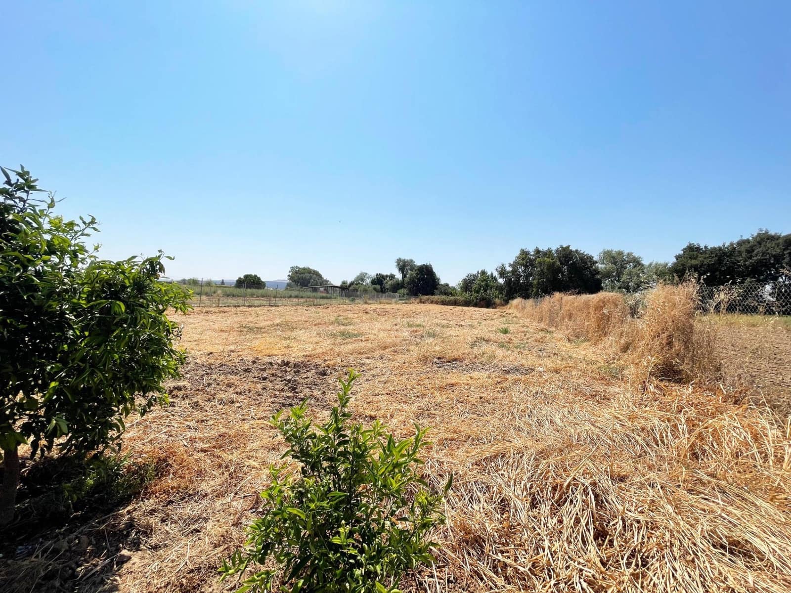 Solar/Parcela en Córdoba ciudad en venta - 99.500 € (Ref: 9360035)