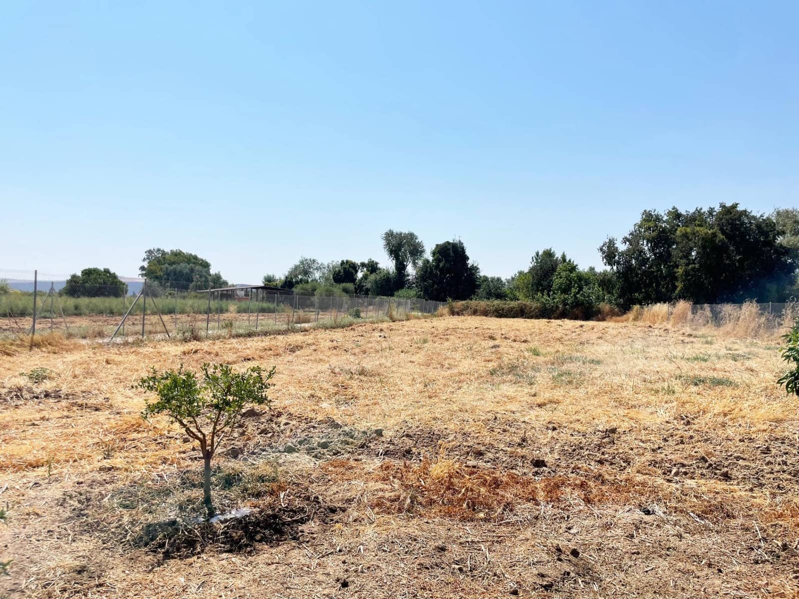 Solar/Parcela en Córdoba ciudad en venta - 99.500 € (Ref: 9360035)