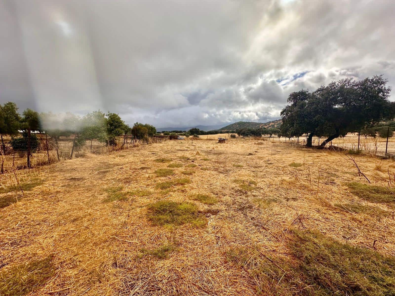 5 sypialnia Finka/Dom wiejski na sprzedaż w Fuente Obejuna z basenem - 110 000 € (Ref: 9360069)