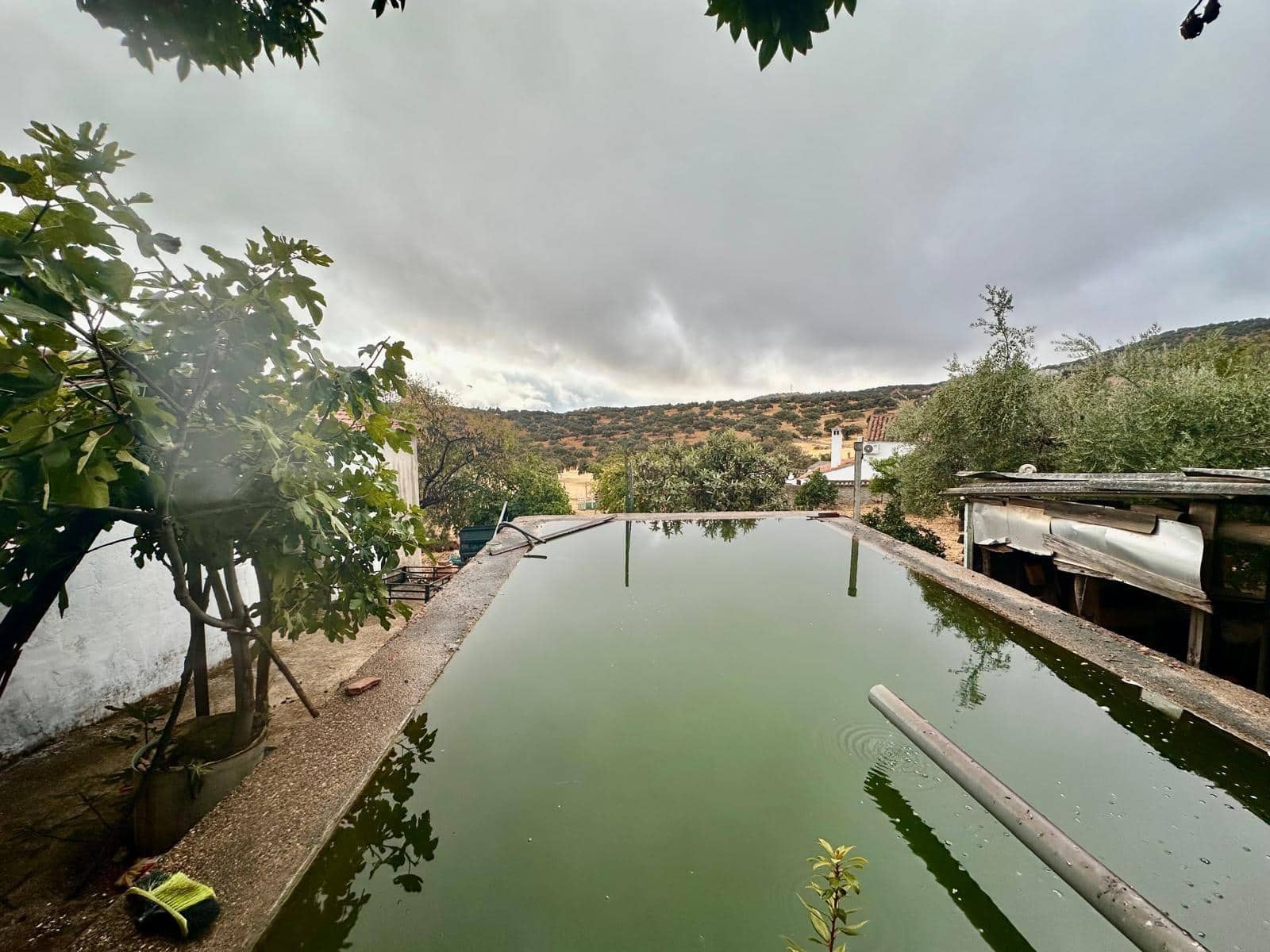 5 sypialnia Finka/Dom wiejski na sprzedaż w Fuente Obejuna z basenem - 110 000 € (Ref: 9360069)