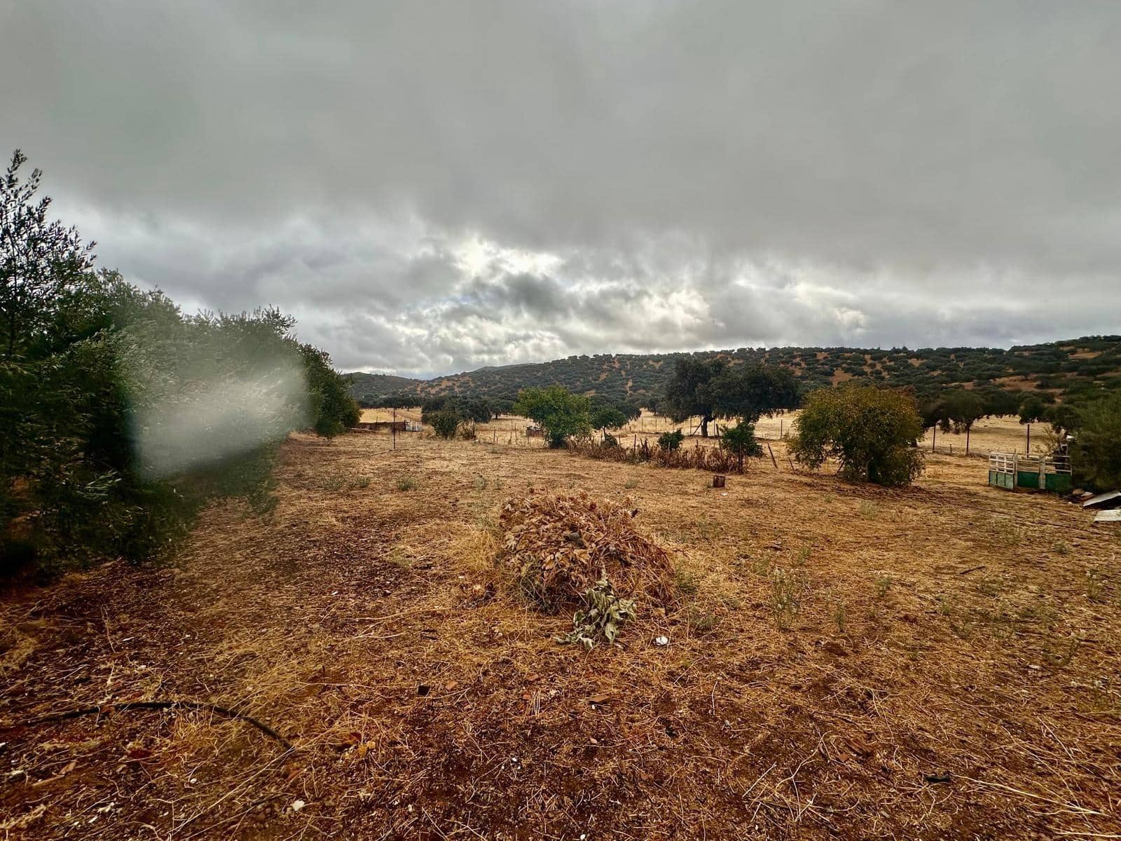 5 sypialnia Finka/Dom wiejski na sprzedaż w Fuente Obejuna z basenem - 110 000 € (Ref: 9360069)