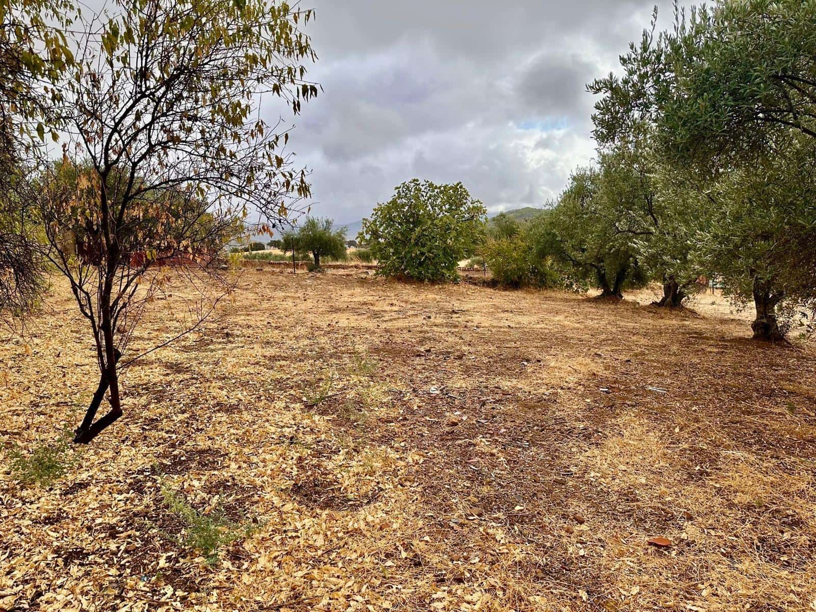 5 sypialnia Finka/Dom wiejski na sprzedaż w Fuente Obejuna z basenem - 110 000 € (Ref: 9360069)