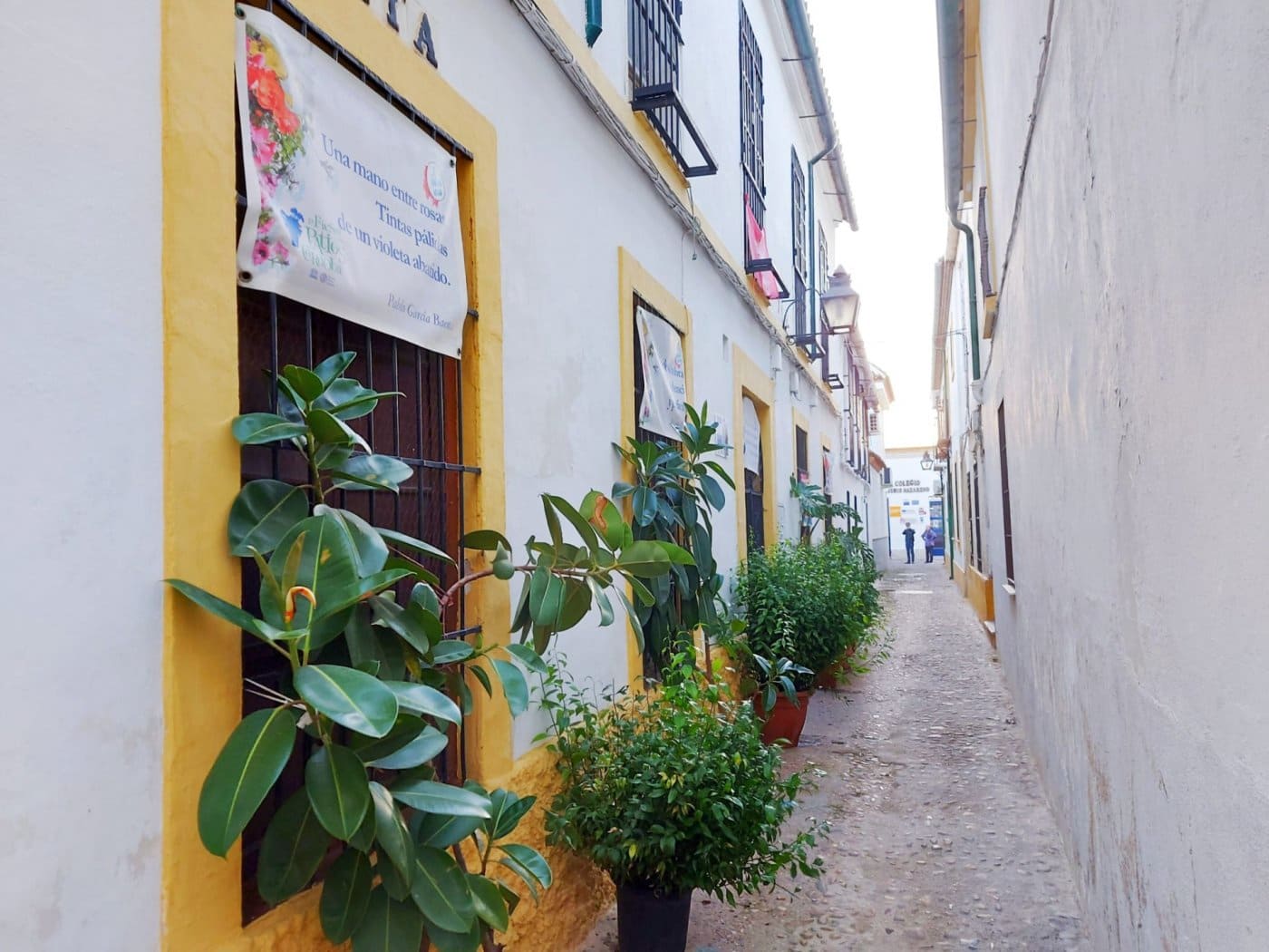 8 makuuhuone Omakotitalo myytävänä paikassa Cordoba kaupunki - 325 000 € (Ref: 9360085)