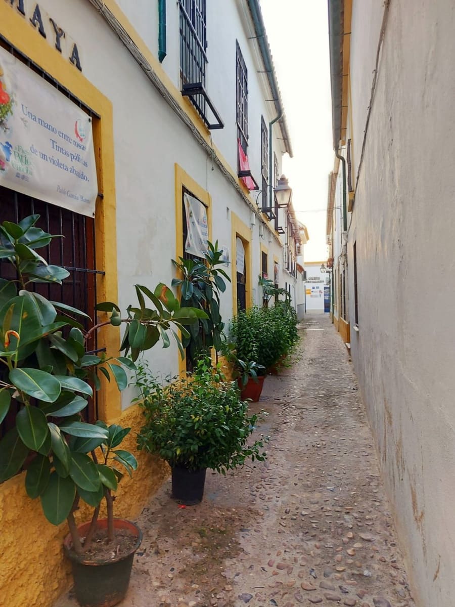 8 makuuhuone Omakotitalo myytävänä paikassa Cordoba kaupunki - 325 000 € (Ref: 9360085)