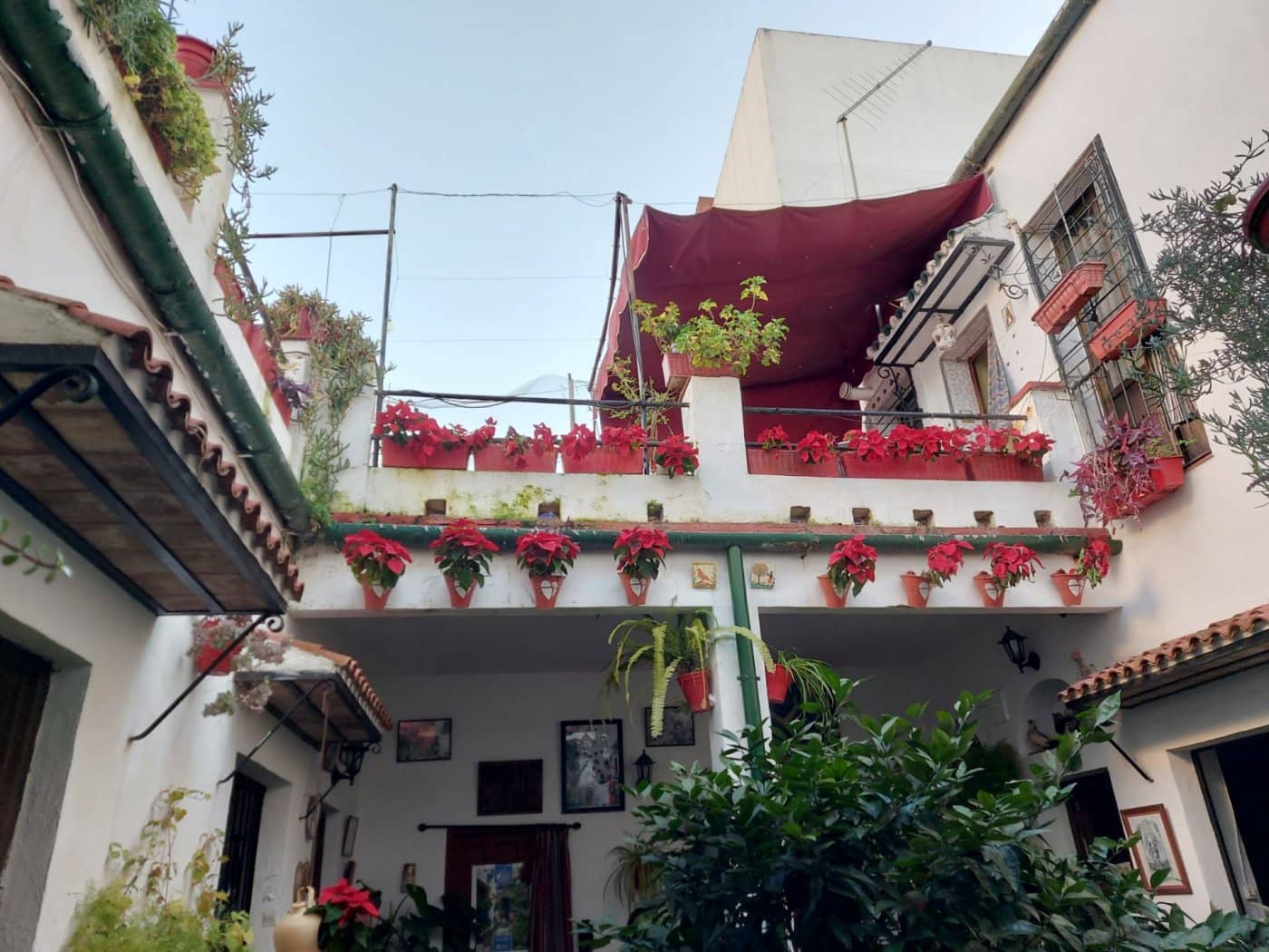 8 makuuhuone Omakotitalo myytävänä paikassa Cordoba kaupunki - 325 000 € (Ref: 9360085)