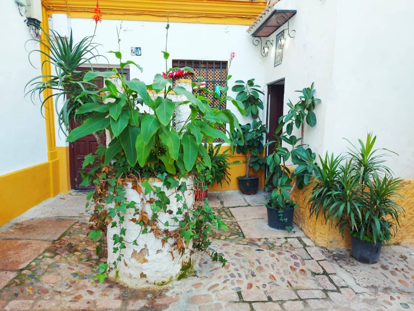 8 makuuhuone Omakotitalo myytävänä paikassa Cordoba kaupunki - 325 000 € (Ref: 9360085)