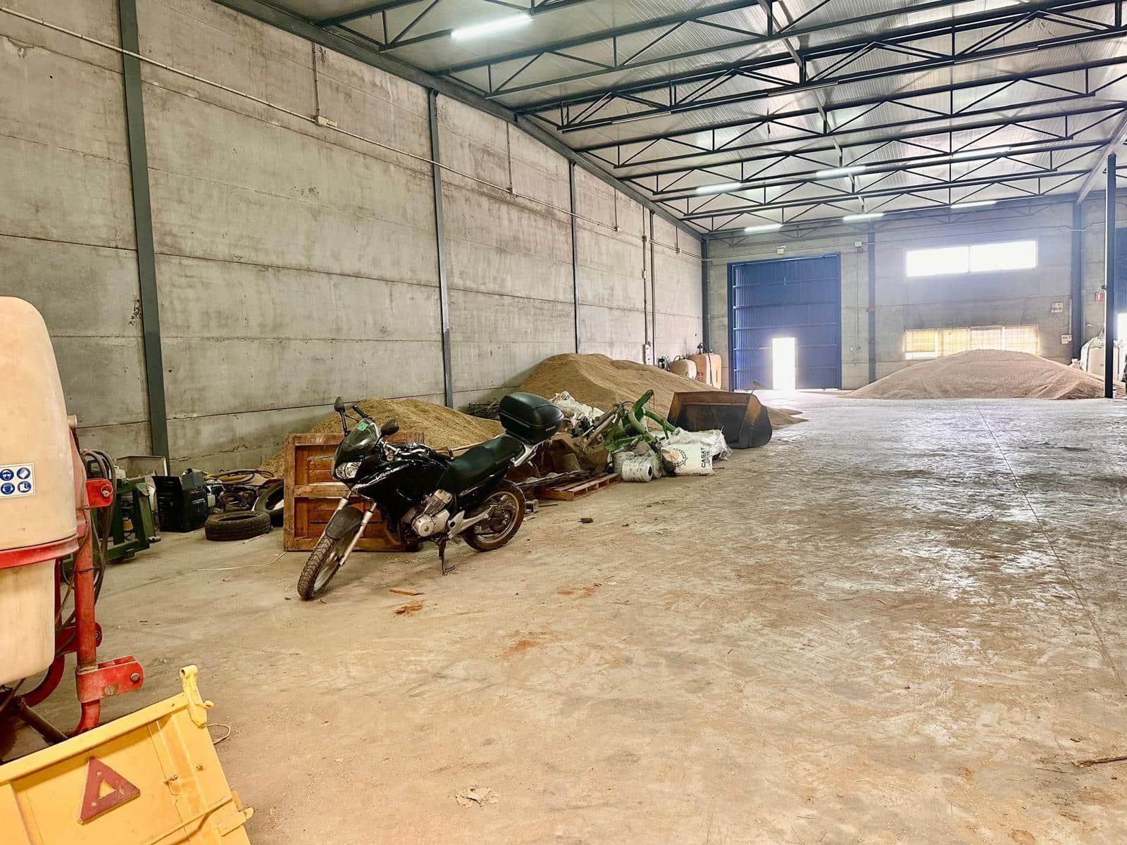 Entreprise à vendre à Fuente Obejuna - 139 000 € (Ref: 9406713)