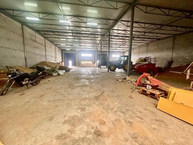 Business for sale in Fuente Obejuna - € 139,000 (Ref: 9406713)