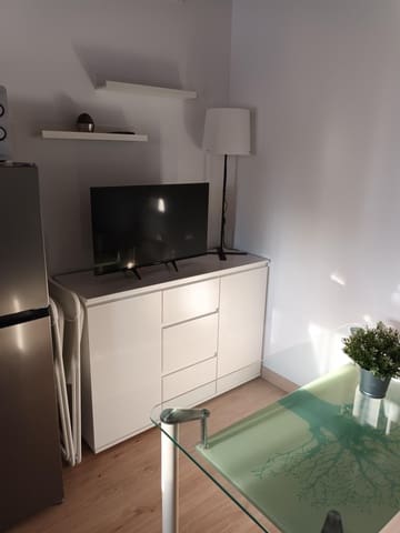 1 bedroom Terraced Villa for rent in El Higueron, Córdoba city with garage - € 500 (Ref: 9431137)