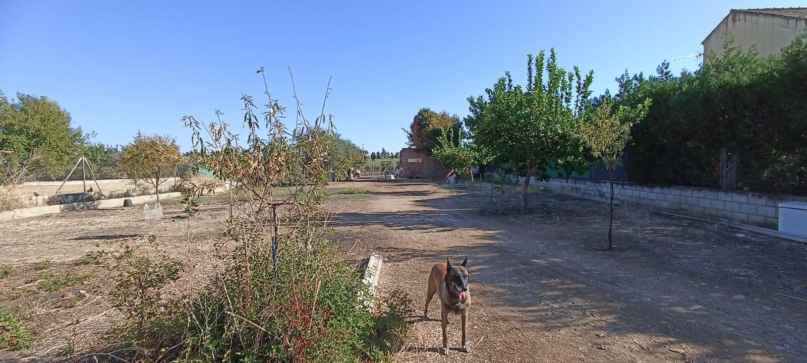 Bouwgrond te koop in La Carlota - € 99.000 (Ref: 9468537)