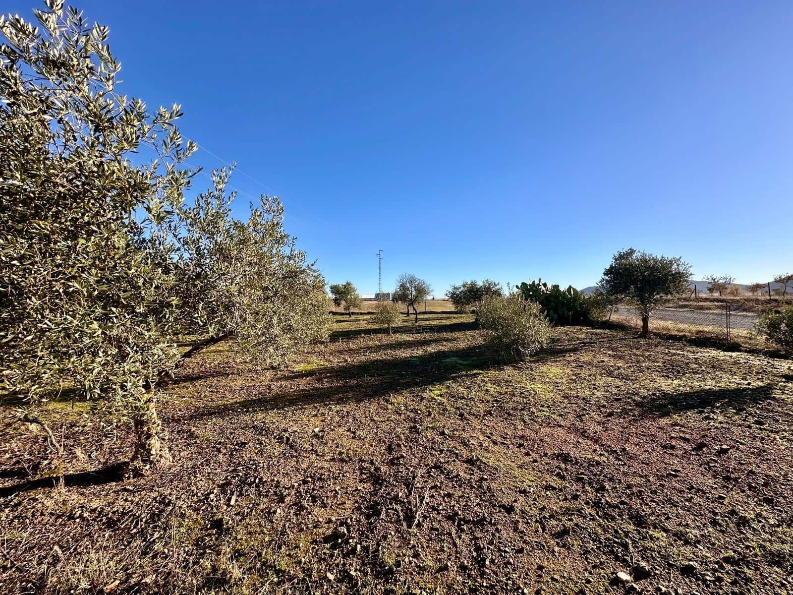 Terreno/Finca Rústica en Fuente Obejuna en venta - 80.000 € (Ref: 9470470)
