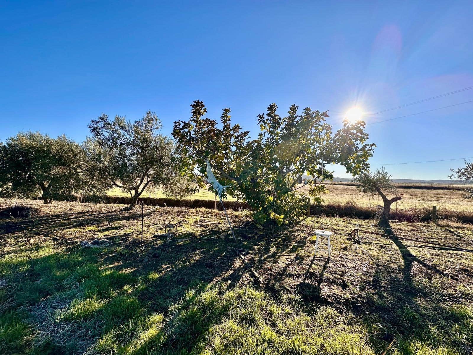 Terreno/Finca Rústica en Fuente Obejuna en venta - 80.000 € (Ref: 9470470)