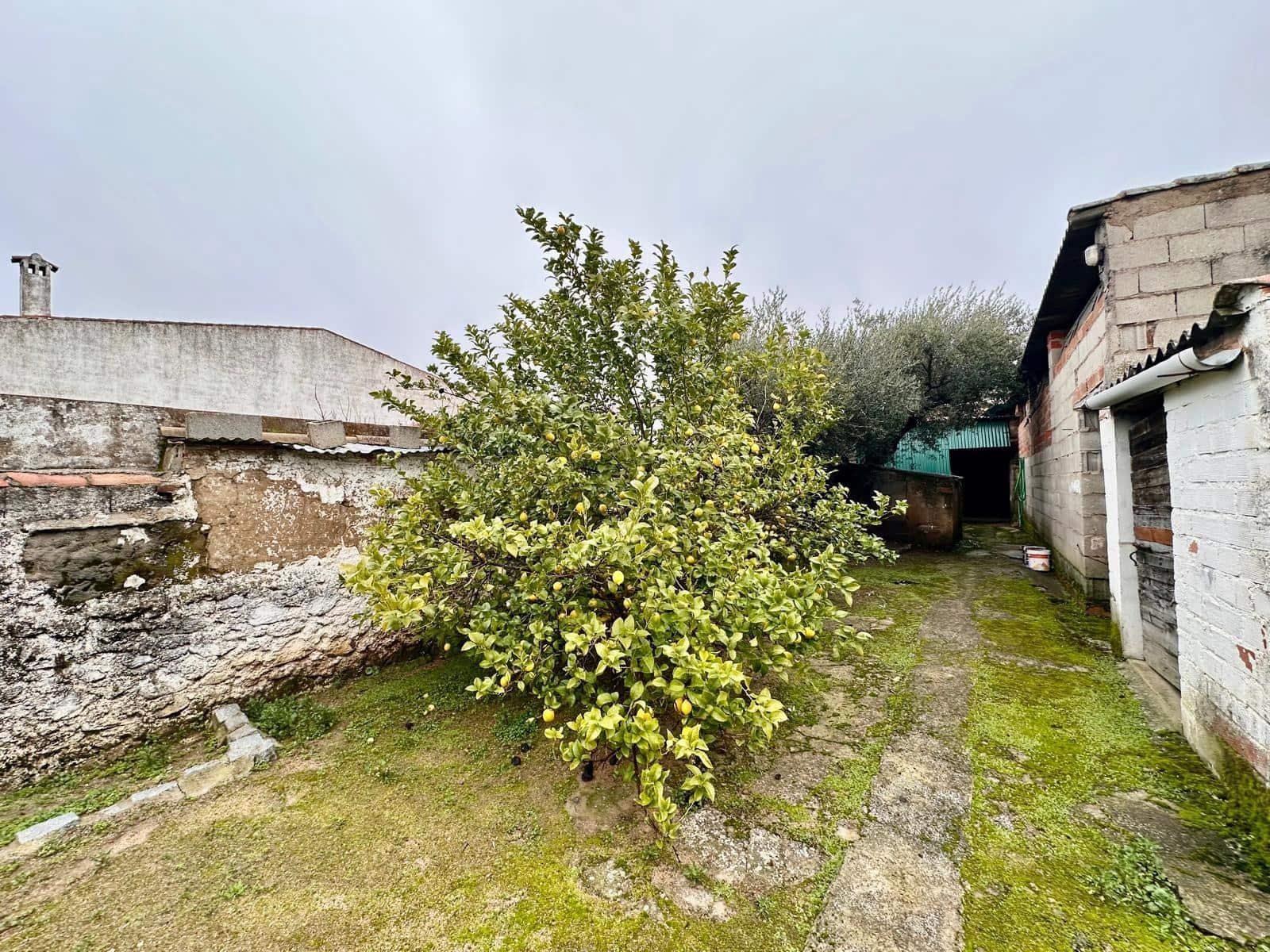 3 makuuhuone Maalaistalo myytävänä paikassa Fuente Obejuna - 70 000 € (Ref: 9471216)