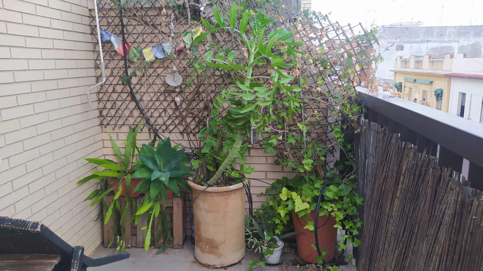 Piso de 2 habitaciones en Córdoba ciudad en venta - 214.800 € (Ref: 9473041)