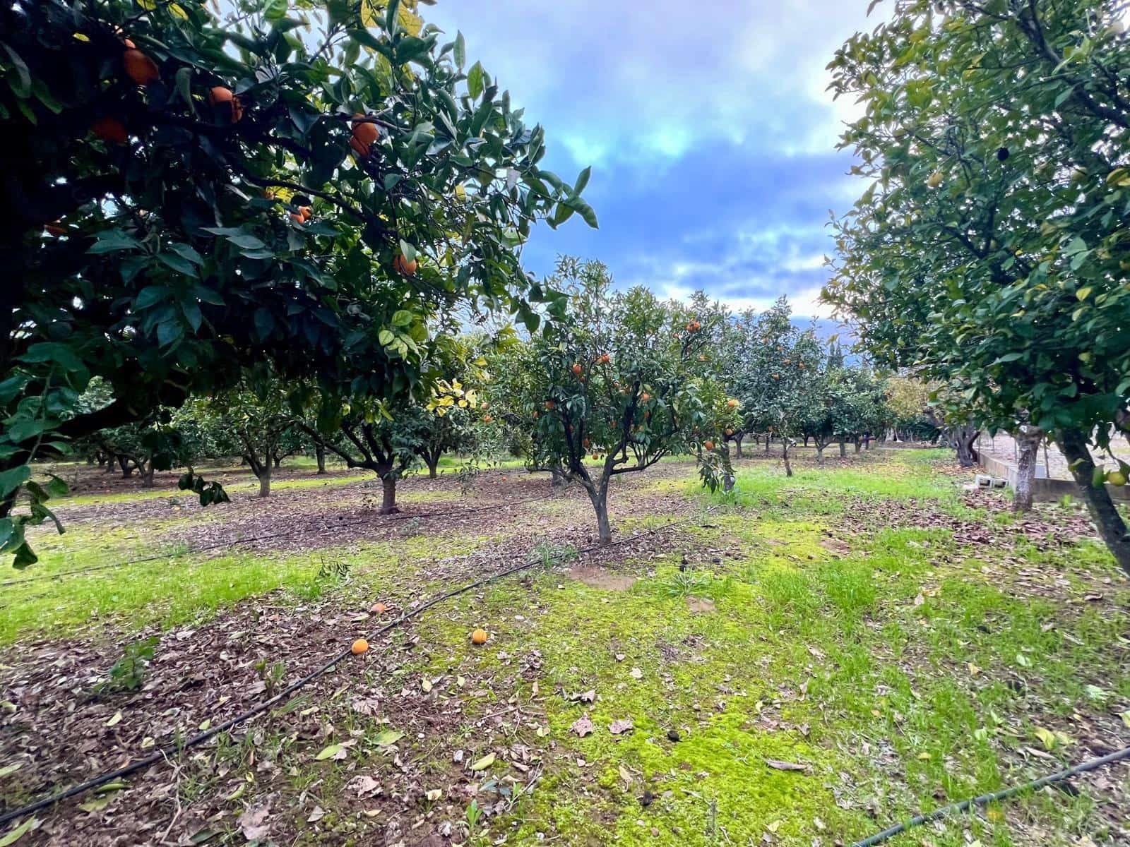 3 soveværelse Villa til salg i Cordoba by med garage - € 224.000 (Ref: 9502450)