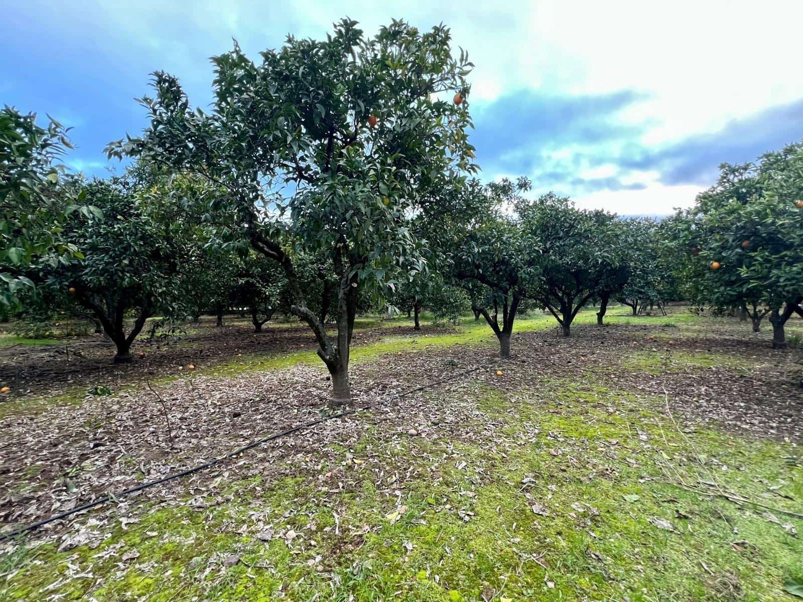 3 soveværelse Villa til salg i Cordoba by med garage - € 224.000 (Ref: 9502450)