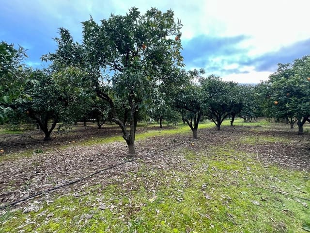 3 soveværelse Villa til salg i Villarrubia, Córdoba by med garage - € 224.000 (Ref: 9502450)