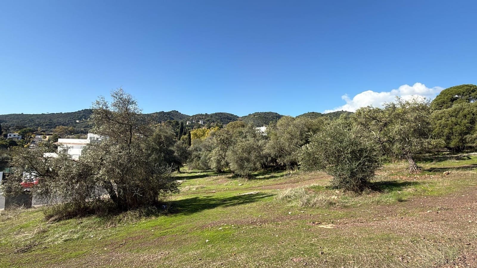 Building Plot for sale in Cordoba city - € 188,000 (Ref: 9533829)