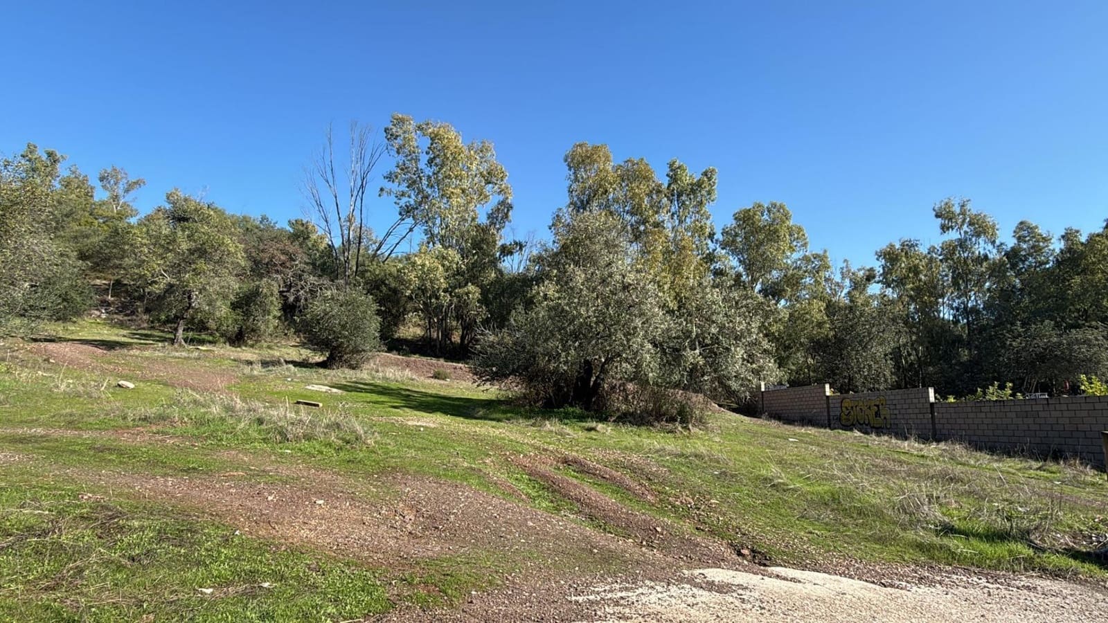 Building Plot for sale in Cordoba city - € 188,000 (Ref: 9533829)