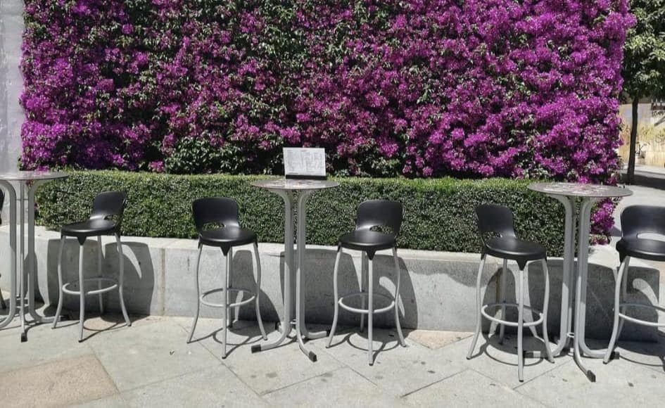 Bedrift til leie i Cordoba by - € 800 (Ref: 9568750)