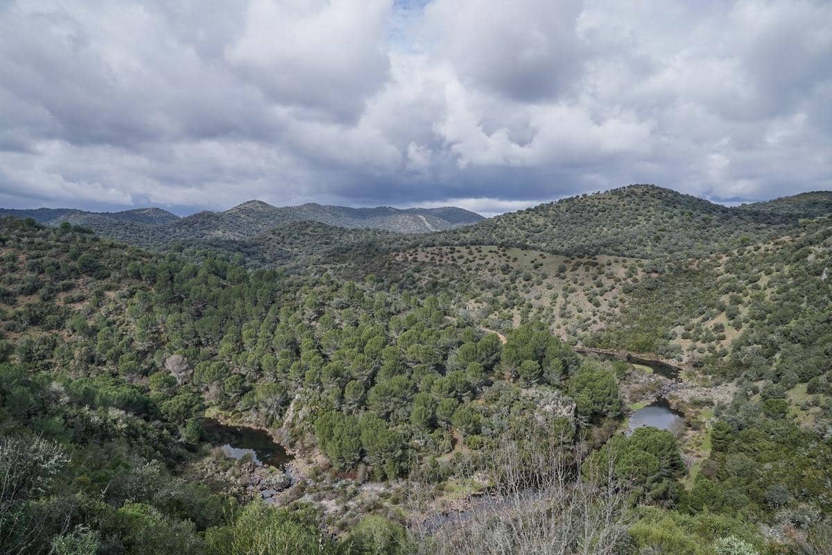 3 bedroom Villa for sale in Cordoba city with pool - € 239,000 (Ref: 9596250)