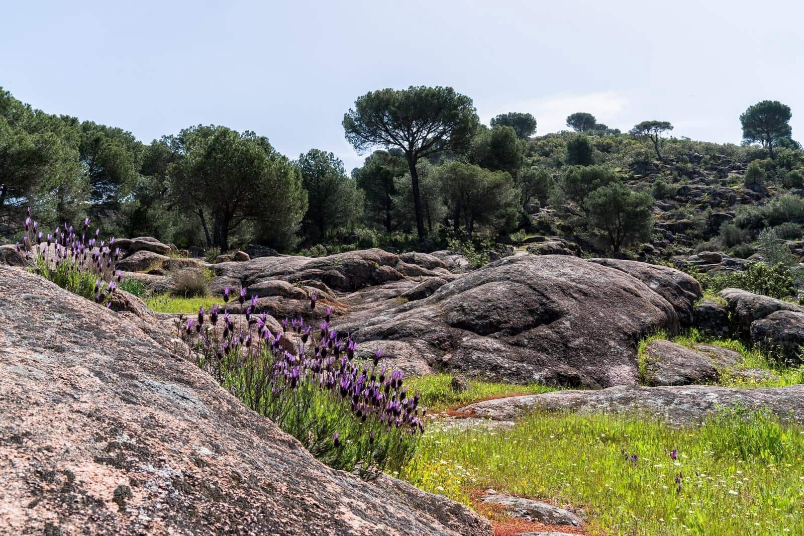 3 bedroom Villa for sale in Cordoba city with pool - € 239,000 (Ref: 9596250)