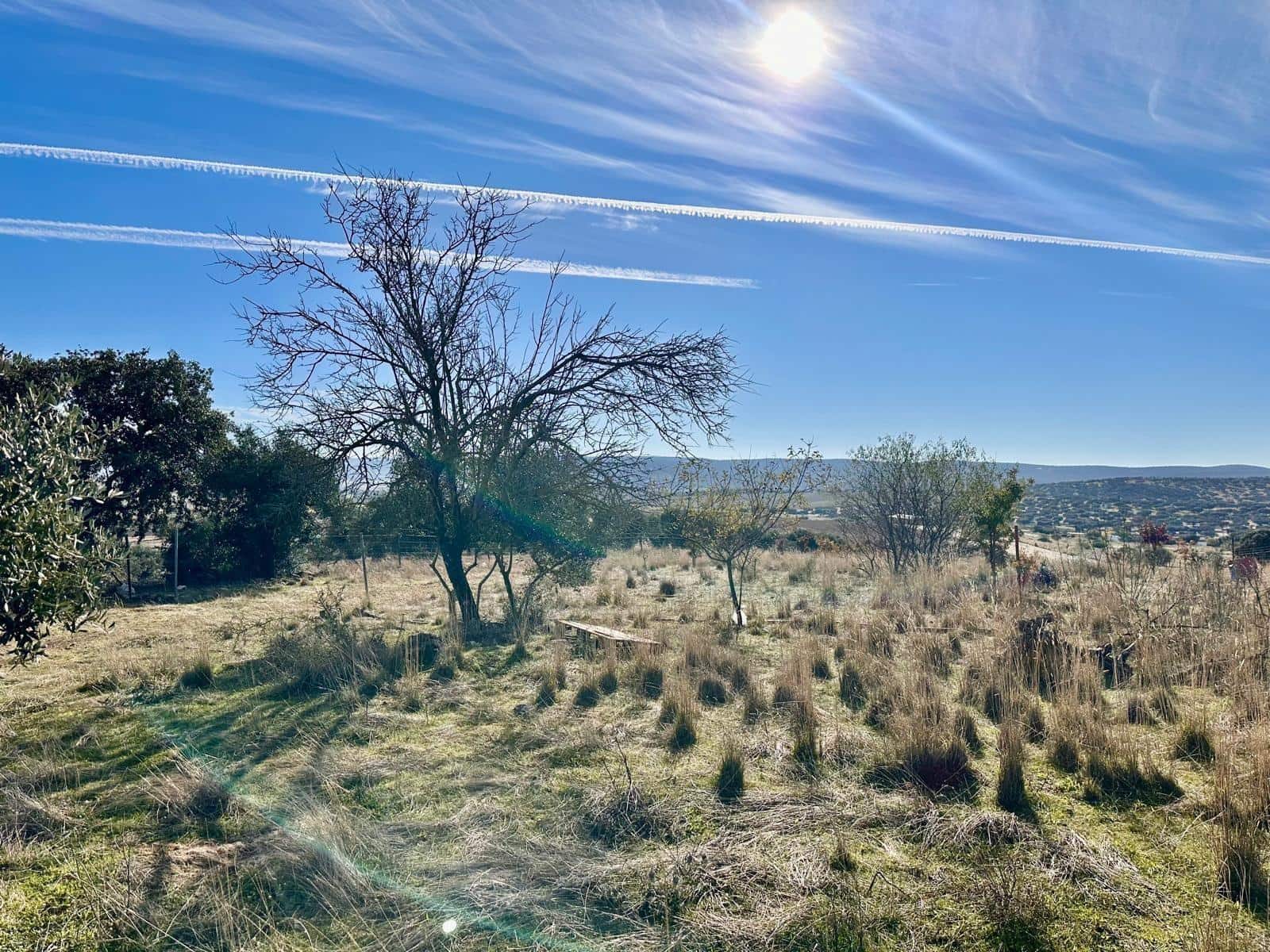 Teren niezagospodarowany na sprzedaż w Fuente Obejuna - 46 500 € (Ref: 9605064)