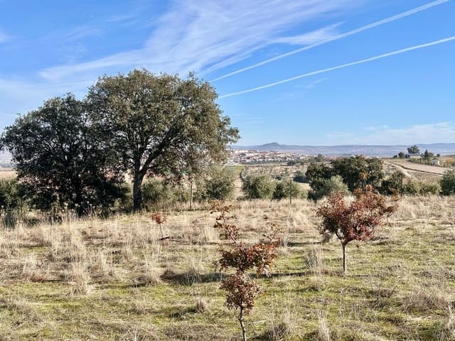 Teren niezagospodarowany na sprzedaż w Fuente Obejuna - 46 500 € (Ref: 9605064)