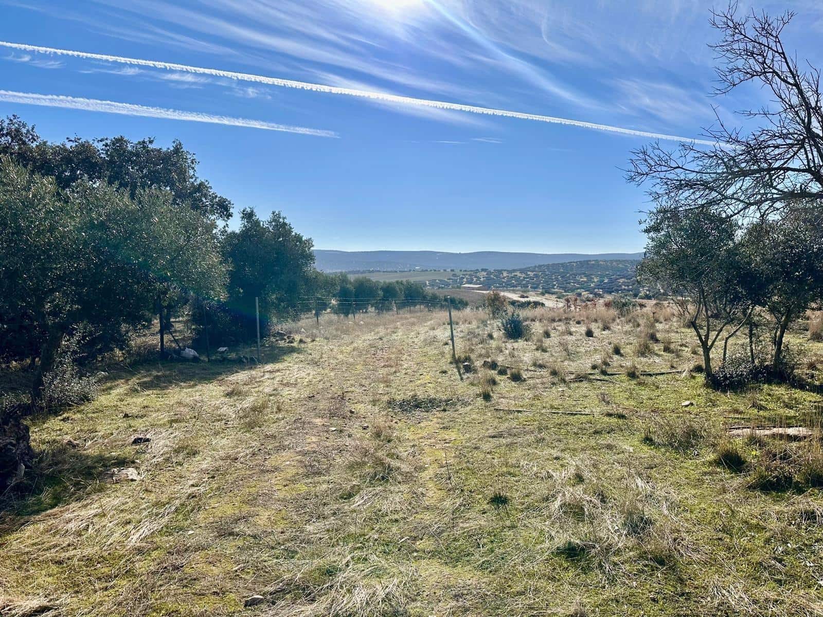 Teren niezagospodarowany na sprzedaż w Fuente Obejuna - 46 500 € (Ref: 9605064)