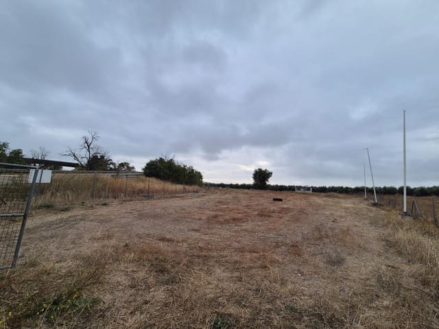 Terreno Non Edificato in vendita in El Carpio - 54.000 € (Rif: 9645118)