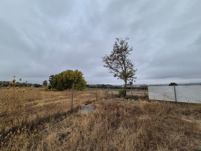 Terreno Non Edificato in vendita in El Carpio - 54.000 € (Rif: 9645118)