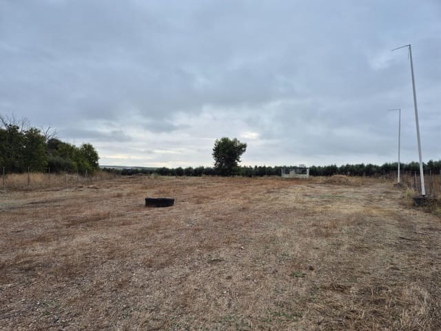Terreno Non Edificato in vendita in El Carpio - 54.000 € (Rif: 9645118)