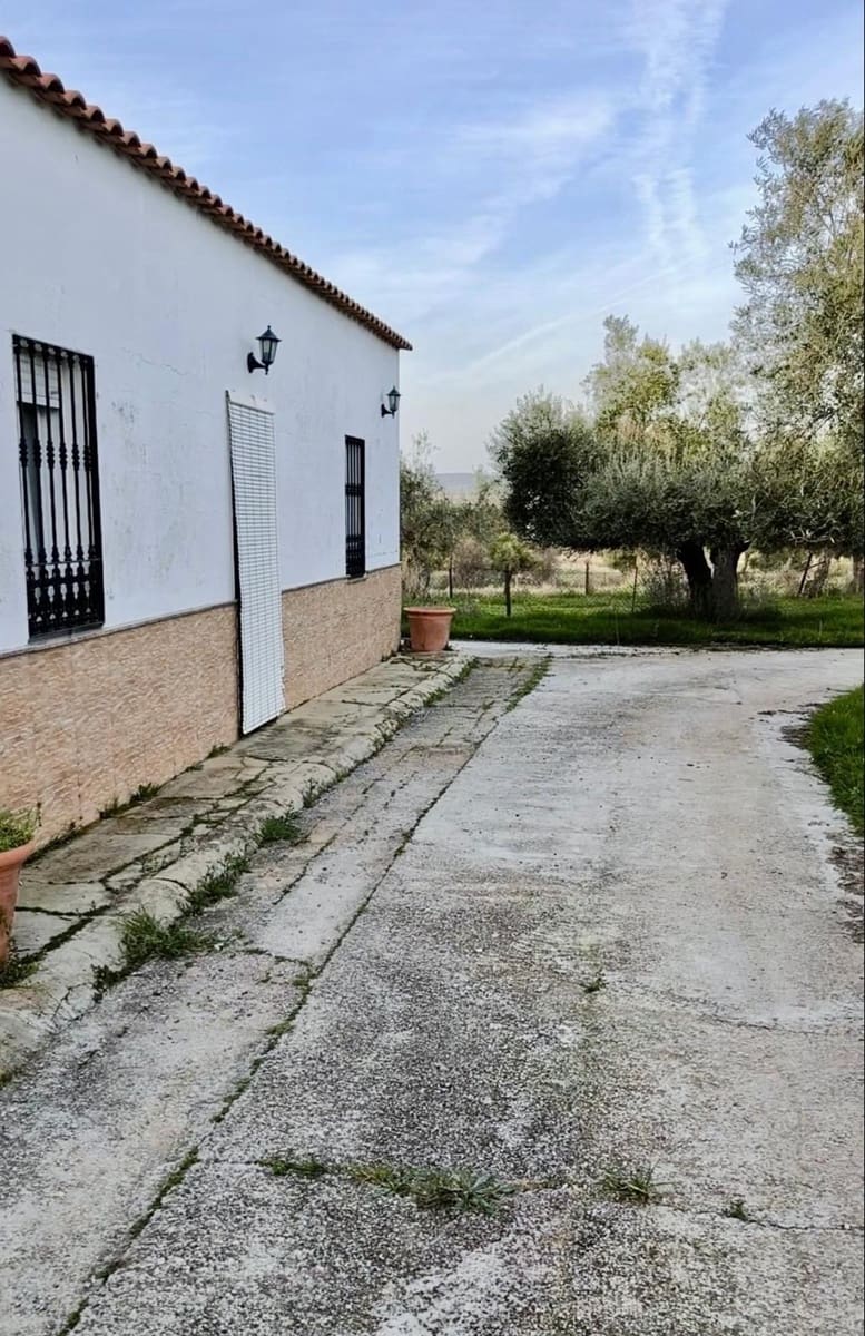 5 slaapkamer Finca/Landhuis te koop in Penarroya-Pueblonuevo met zwembad - € 110.000 (Ref: 9663784)