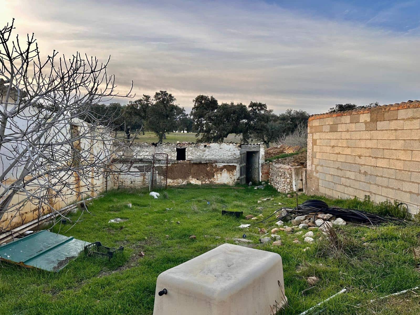 5 slaapkamer Finca/Landhuis te koop in Penarroya-Pueblonuevo met zwembad - € 110.000 (Ref: 9663784)