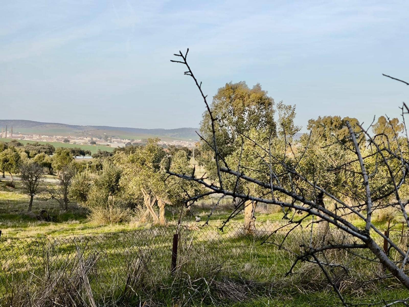 5 slaapkamer Finca/Landhuis te koop in Penarroya-Pueblonuevo met zwembad - € 110.000 (Ref: 9663784)