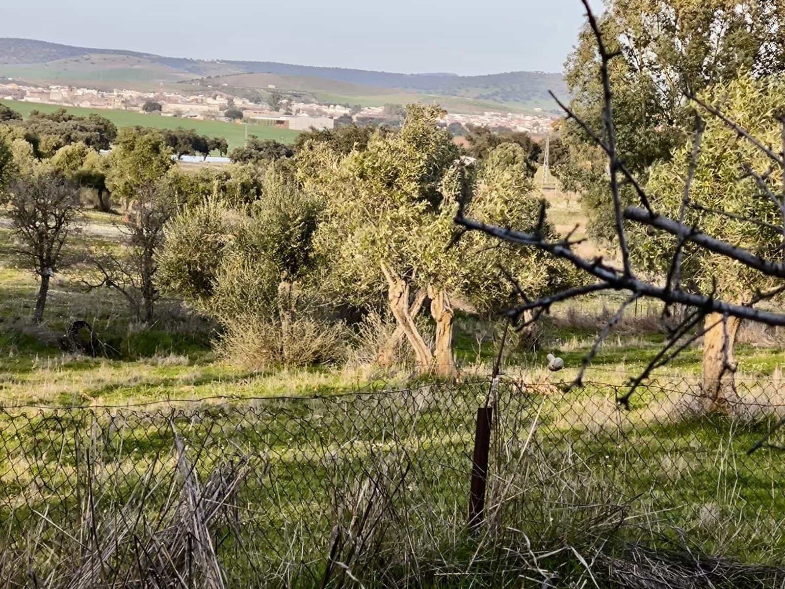 5 slaapkamer Finca/Landhuis te koop in Penarroya-Pueblonuevo met zwembad - € 110.000 (Ref: 9663784)