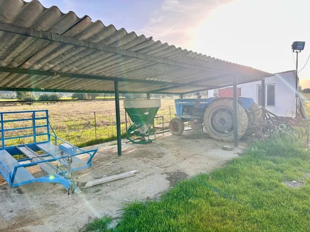 5 slaapkamer Finca/Landhuis te koop in Peñarroya-Pueblonuevo met zwembad - € 110.000 (Ref: 9663784)