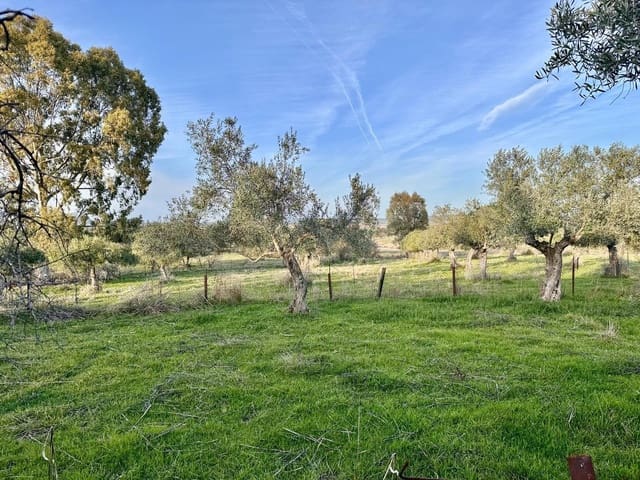 5 slaapkamer Finca/Landhuis te koop in Peñarroya-Pueblonuevo met zwembad - € 110.000 (Ref: 9663784)