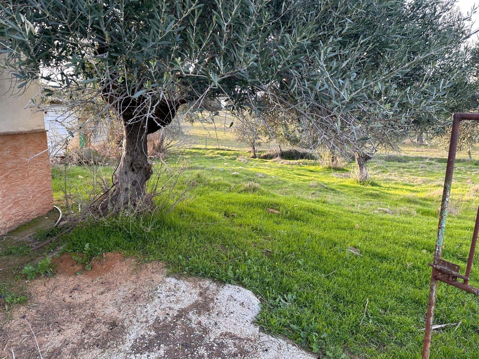 5 slaapkamer Finca/Landhuis te koop in Penarroya-Pueblonuevo met zwembad - € 110.000 (Ref: 9663784)